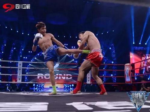 峨眉成人格斗视频播放,身手矫健，招式精妙，一招一式尽显武术魅力