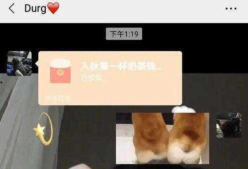 成人你奶茶视频,揭秘成人版奶茶的独特魅力