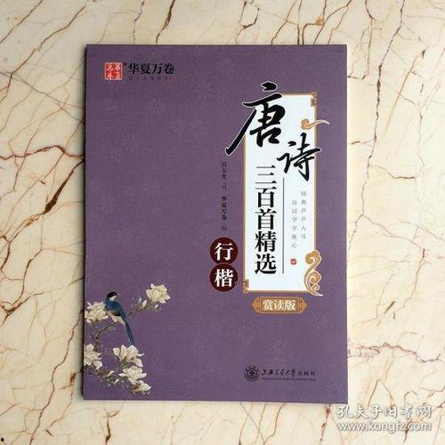 完整的成人硬笔教学视频,跟随视频学习成人硬笔书法技巧